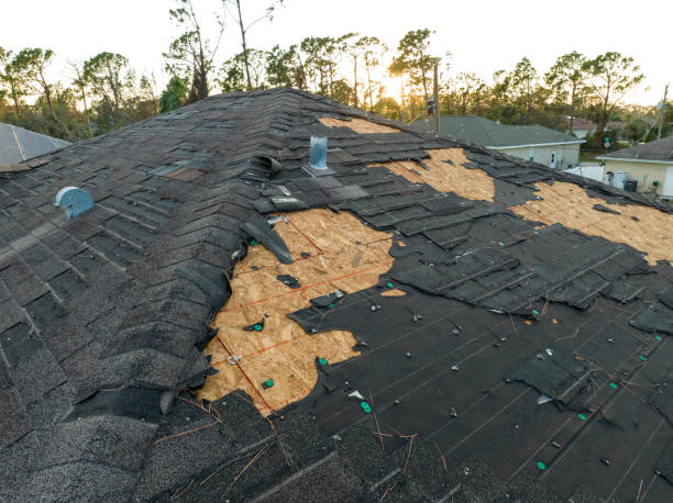 Best Storm Damage Roof Repair  in Robstown, TX